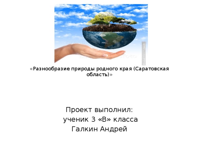 ПРОЕКТ  «Разнообразие природы родного края (Саратовская область)»  Проект выполнил:  ученик 3 «В» класса Галкин Андрей