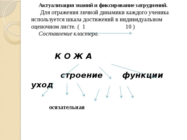 Актуализация знаний и фиксирование затруднений.   Для отражения личной динамики каждого ученика используется шкала достижений в индивидуальном оценочном листе. ( 1 10 )    Составление кластера.        К О Ж А       строение функции уход          осязательная