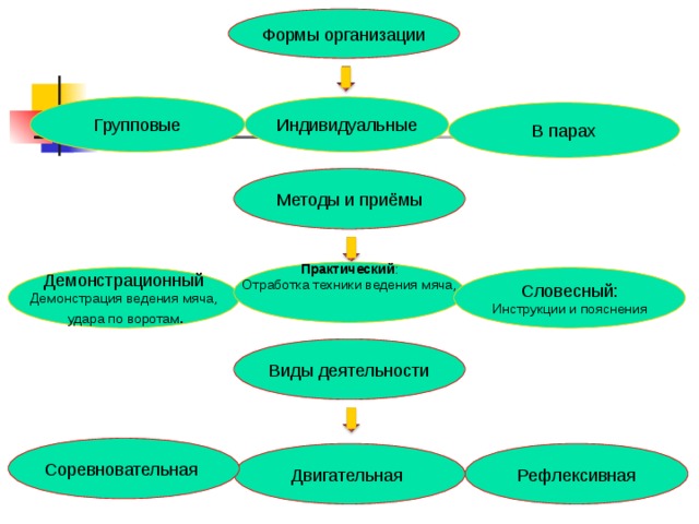 Формы организации Групповые Индивидуальные В парах Методы и приёмы Практический : Отработка техники ведения мяча, Демонстрационный Демонстрация ведения мяча,  удара по воротам . Словесный: Инструкции и пояснения Виды деятельности Соревновательная Рефлексивная Двигательная