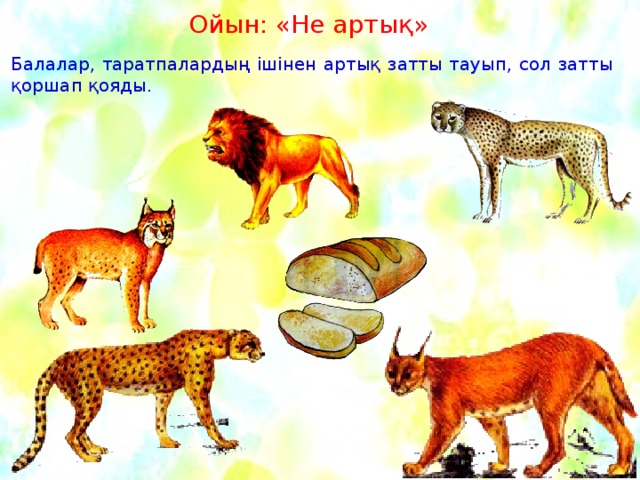 Ойын: «Не артық» Балалар, таратпалардың ішінен артық затты тауып, сол затты қоршап қояды.