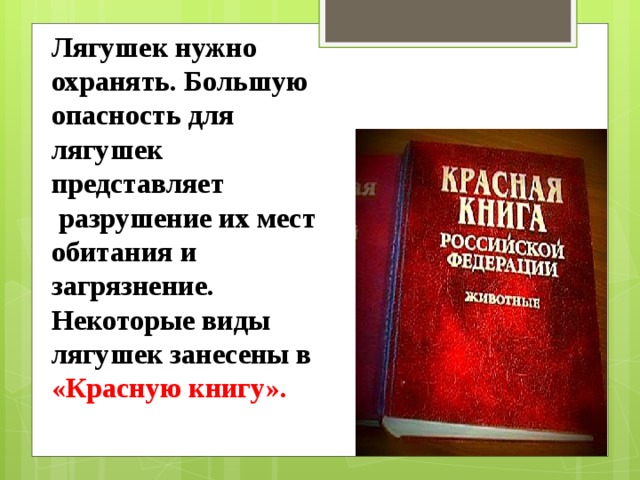 Лягушек нужно охранять. Большую опасность для лягушек представляет  разрушение их мест обитания и загрязнение. Некоторые виды лягушек занесены в «Красную книгу».