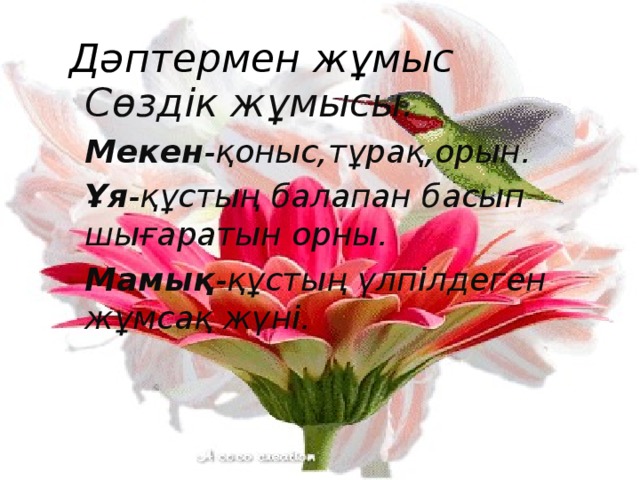 Дәптермен жұмыс Сөздік жұмысы. Мекен -қоныс,тұрақ,орын. Ұя -құстың балапан басып шығаратын орны. Мамық -құстың үлпілдеген жұмсақ жүні.