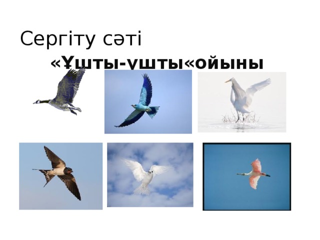 Сергіту сәті «Ұшты-ұшты«ойыны