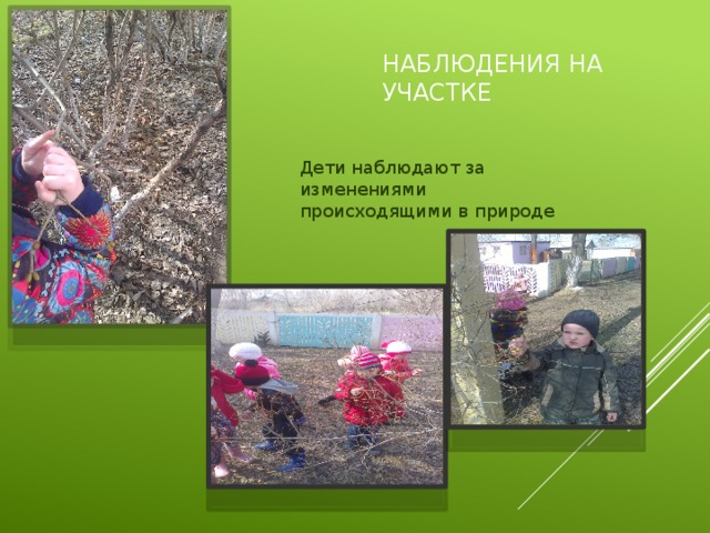 Наблюдения на участке Дети наблюдают за изменениями происходящими в природе
