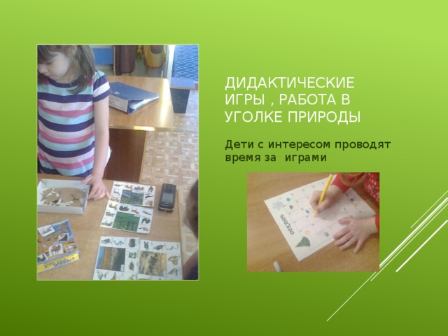 Дидактические игры , работа в уголке природы Дети с интересом проводят время за играми