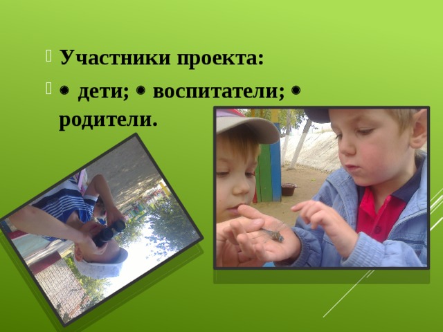 Участники проекта:    дети;  воспитатели;  родители.