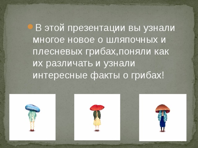 В этой презентации вы узнали многое новое о шляпочных и плесневых грибах,поняли как их различать и узнали интересные факты о грибах! В этой презентации вы узнали многое новое о шляпочных и плесневых грибах,поняли как их различать и узнали интересные факты о грибах!