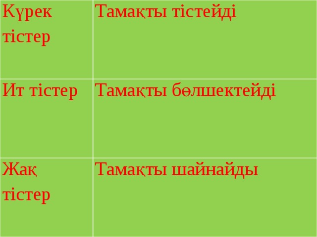 Күрек тістер Тамақты тістейді Ит тістер Тамақты бөлшектейді Жақ тістер Тамақты шайнайды