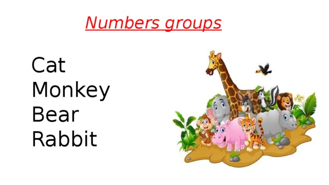 Numbers groups Cat Monkey Bear Rabbit