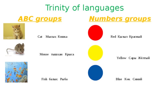 Trinity of languages ABC groups  Numbers groups   Cat Мысық Кошка  Red Қызыл Красный  Mouse тышқан Крыса  Yellow Сары Жёлтый  Fish балық Рыба  Blue Көк Синий