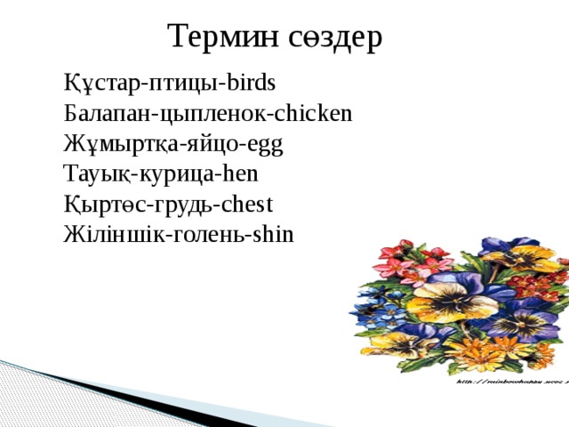 Термин сөздер Құстар-птицы-birds Балапан-цыпленок-chicken Жұмыртқа-яйцо-egg Тауық-курица-hen Қыртөс-грудь-chest Жіліншік-голень-shin