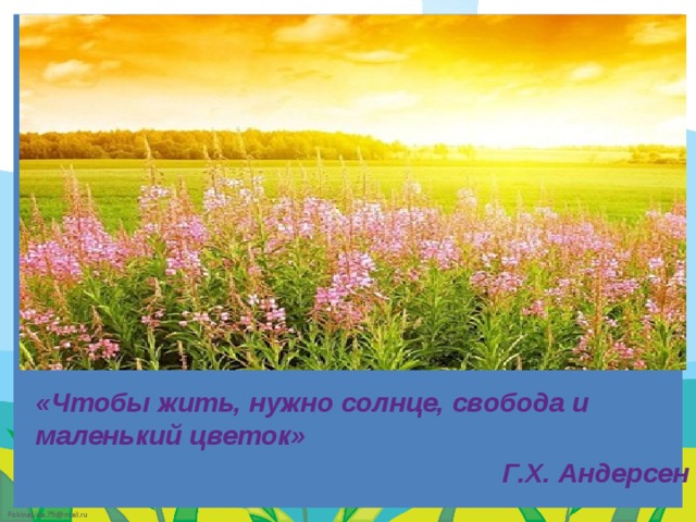 «Чтобы жить, нужно солнце, свобода и маленький цветок» Г.Х. Андерсен