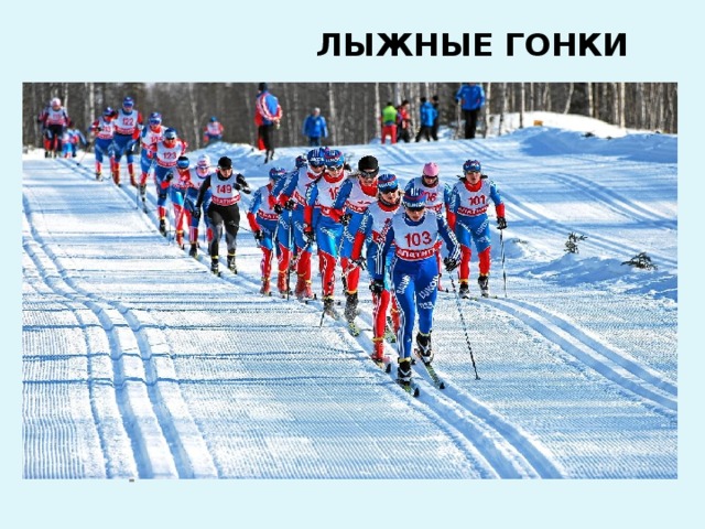 ЛЫЖНЫЕ ГОНКИ СПОРТ НА СВЕТЕ ЕСТЬ ТАКОЙ, ПОПУЛЯРЕН ОН ЗИМОЙ. НА ПОЛОЗЬЯХ ТЫ БЕЖИШЬ, ЗА СОПЕРНИКОМ СПЕШИШЬ ?