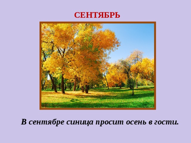 СЕНТЯБРЬ  В сентябре синица просит осень в гости.