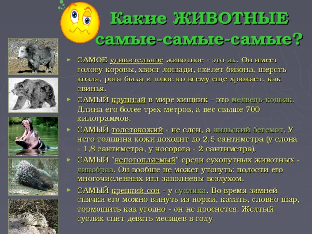 Какие ЖИВОТНЫЕ самые-самые-самые?