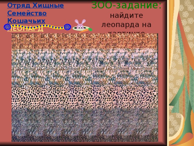 Отряд Хищные  Семейство Кошачьих  ЛЕОПАРД ЗОО-задание:  найдите леопарда на картинке