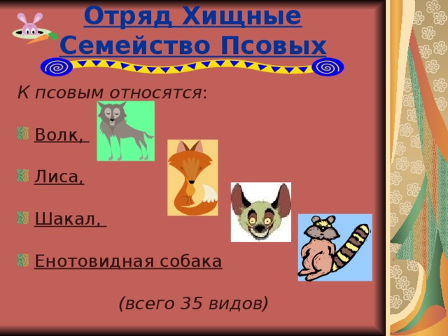 Отряд Хищные  Семейство Псовых К псовым относятся : Волк,  Лиса,  Шакал,  Енотовидная собака  (всего 35 видов)