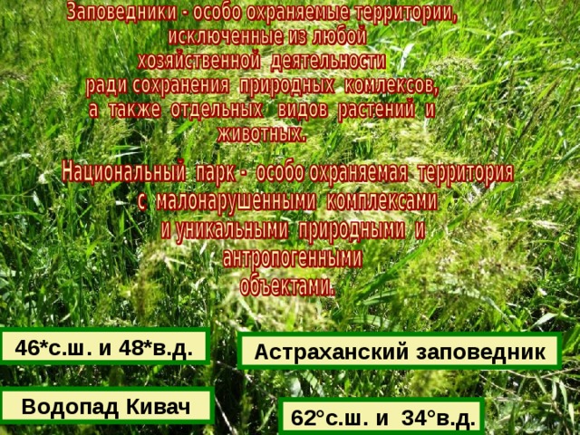 46*с.ш. и 48*в.д. Астраханский заповедник Водопад Кивач  62°с.ш. и 34°в.д.