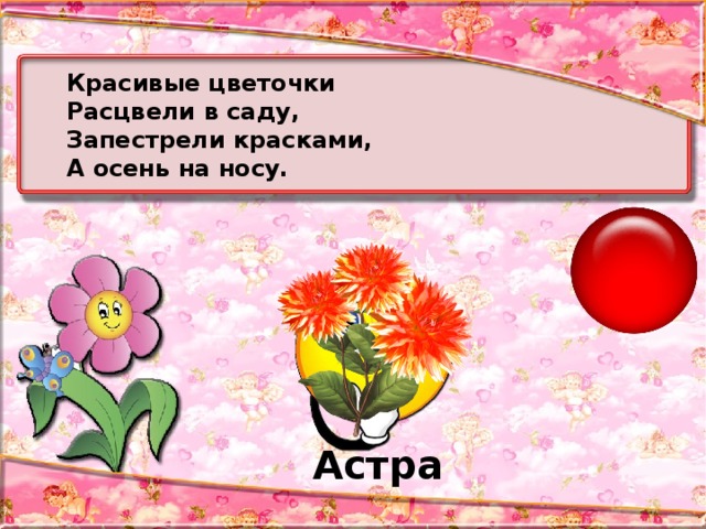 Красивые цветочки Расцвели в саду, Запестрели красками, А осень на носу. Астра