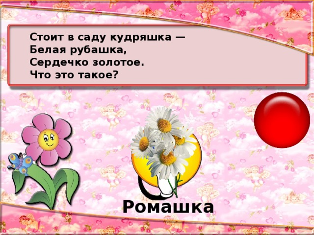 Стоит в саду кудряшка — Белая рубашка, Сердечко золотое. Что это такое? Ромашка