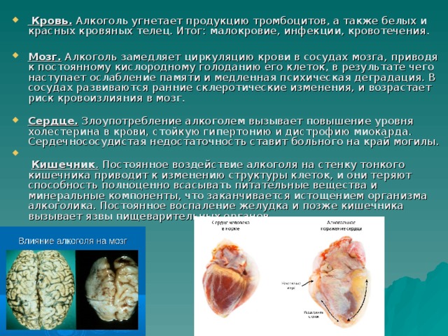   Кровь.  Алкоголь угнетает продукцию тромбоцитов, а также белых и красных кровяных телец. Итог: малокровие, инфекции, кровотечения.   Мозг.  Алкоголь замедляет циркуляцию крови в сосудах мозга, приводя к постоянному кислородному голоданию его клеток, в результате чего наступает ослабление памяти и медленная психическая деградация. В сосудах развиваются ранние склеротические изменения, и возрастает риск кровоизлияния в мозг.   Сердце.  Злоупотребление алкоголем вызывает повышение уровня холестерина в крови, стойкую гипертонию и дистрофию миокарда. Сердечнососудистая недостаточность ставит больного на край могилы.    Кишечник .