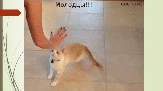 Молодцы!!!