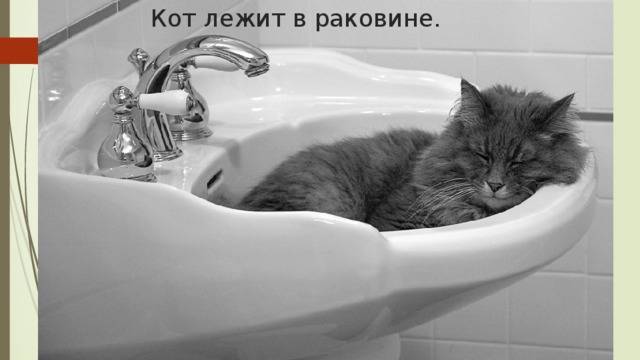 Кот лежит в раковине.