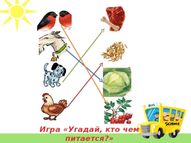 Используя рисунки установи последовательность кто чем питается окружающий мир 1 класс