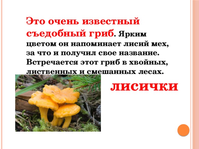 Это очень известный съедобный гриб . Ярким цветом он напоминает лисий мех, за что и получил свое название. Встречается этот гриб в хвойных, лиственных и смешанных лесах. лисички