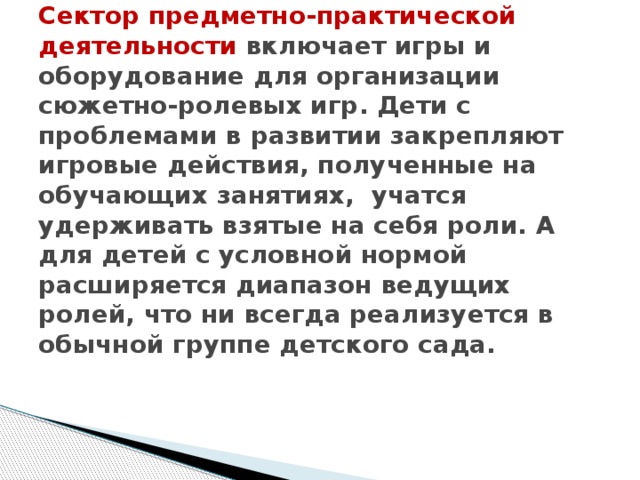 Сектор предметно-практической  деятельности включает игры и оборудование для организации сюжетно-ролевых игр. Дети с проблемами в развитии закрепляют игровые действия, полученные на обучающих занятиях, учатся удерживать взятые на себя роли. А для детей с условной нормой расширяется диапазон ведущих ролей, что ни всегда реализуется в обычной группе детского сада.