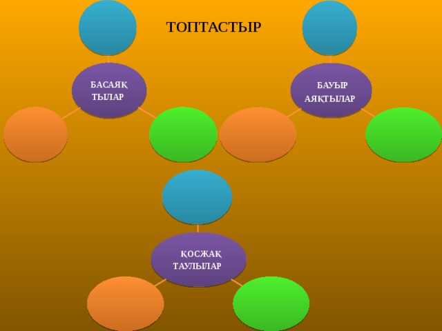 ТОПТАСТЫР БАСАЯҚ ТЫЛАР  БАУЫР АЯҚТЫЛАР        ҚОСЖАҚ ТАУЛЫЛАР