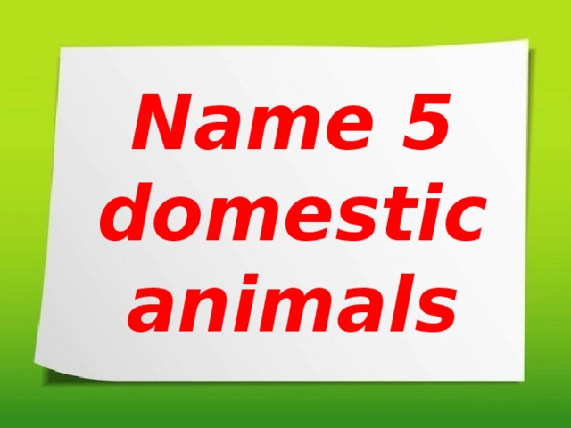 Name 5 domestic animals