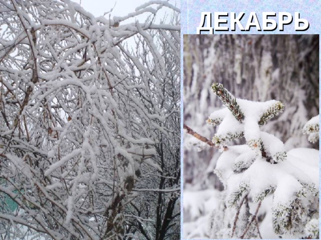 ДЕКАБРЬ