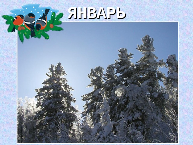 ЯНВАРЬ