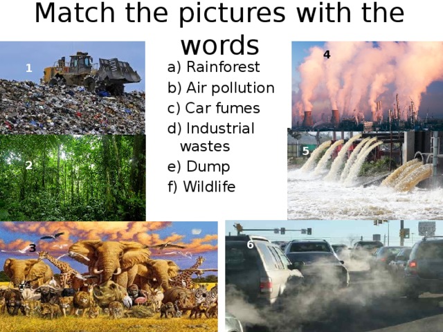 Match the pictures with the words 4 a) Rainforest b) Air pollution c) Car fumes d) Industrial wastes e) Dump f) Wildlife 1 5 2 6 3