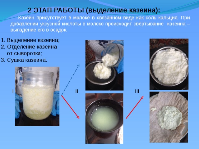 2 ЭТАП РАБОТЫ (выделение казеина): Казеин присутствует в молоке в связанном виде как соль кальция. При добавлении уксусной кислоты в молоко происходит свёртывание казеина – выпадение его в осадок. 1. Выделение казеина; 2. Отделение казеина  от сыворотки; 3. Сушка казеина. I II III