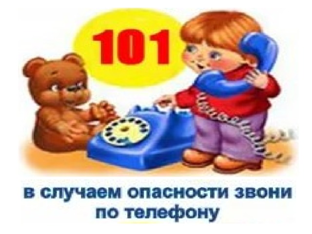 Ответы на 101 картинка животные