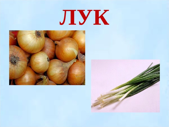 ЛУК