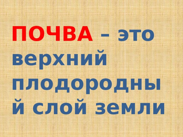 ПОЧВА – это верхний плодородный слой земли