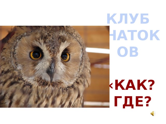 КЛУБ ЗНАТОКОВ   «КАК?  ГДЕ?  КОГДА?»