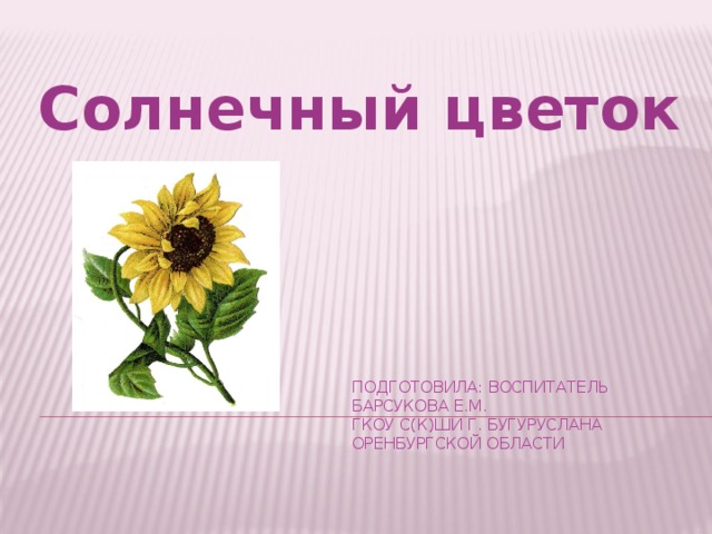 Солнечный цветок подготовила: воспитатель барсукова е.м.  ГКОУ С(К)ШИ Г. Бугуруслана оренбургской области