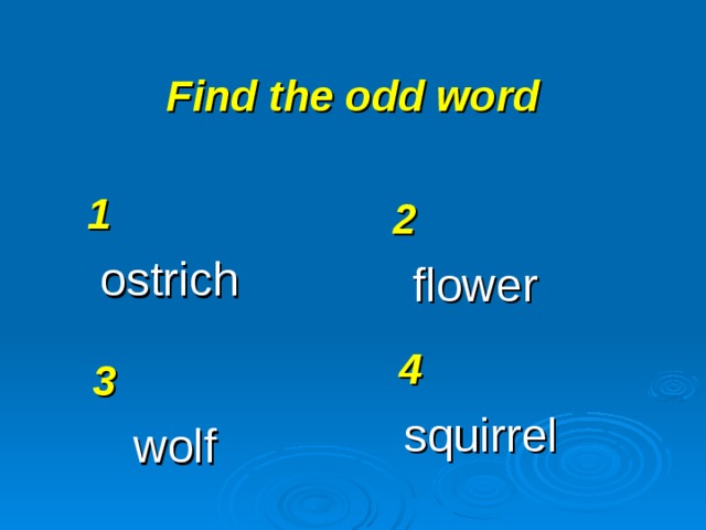 Find the odd word 1 ostrich 2 flower 4 squirrel 3 wolf