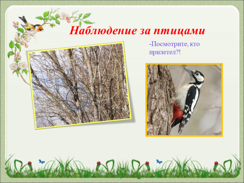 Наблюдение за птицами вашего города. Продолжайте наблюдения за птицами. Продолжайте наблюдение за птицами вашего города. Наблюдение за птицами весной 2 класс окружающий мир. Наблюдение за птицами весной.