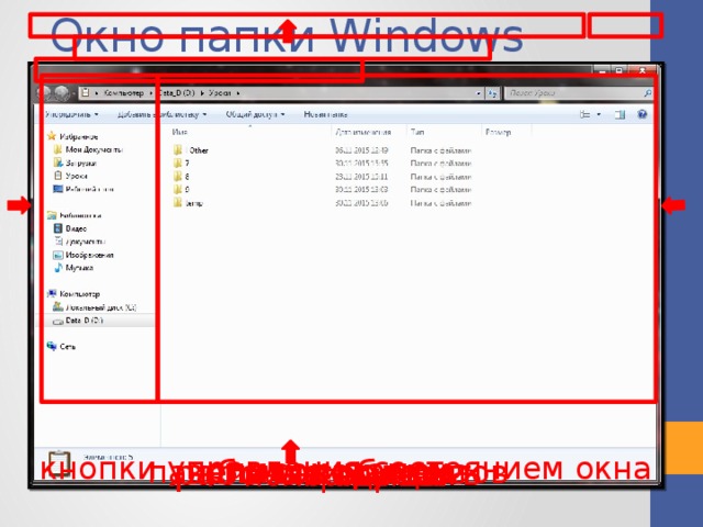 Окно папки Windows список папок кнопки управления состоянием окна заголовок окна рабочая область панель инструментов границы поле адреса
