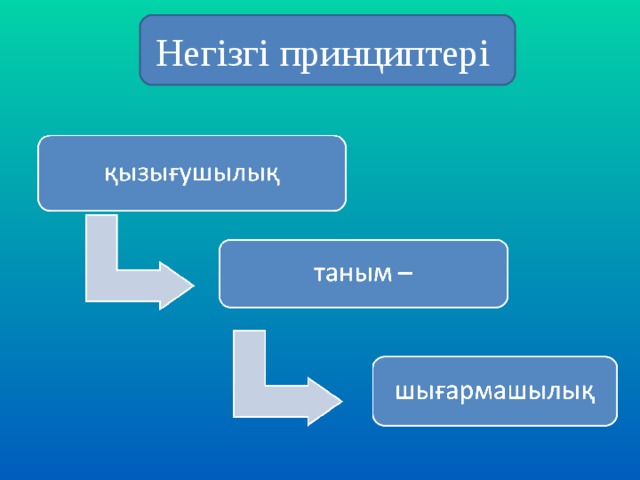 Негізгі принциптері