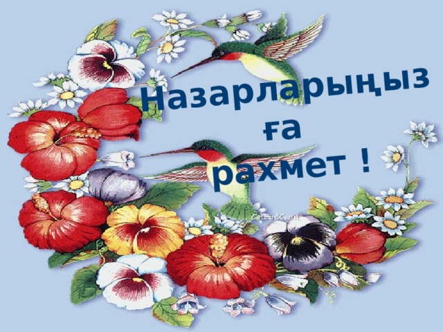 Назарларыңызға рахмет !