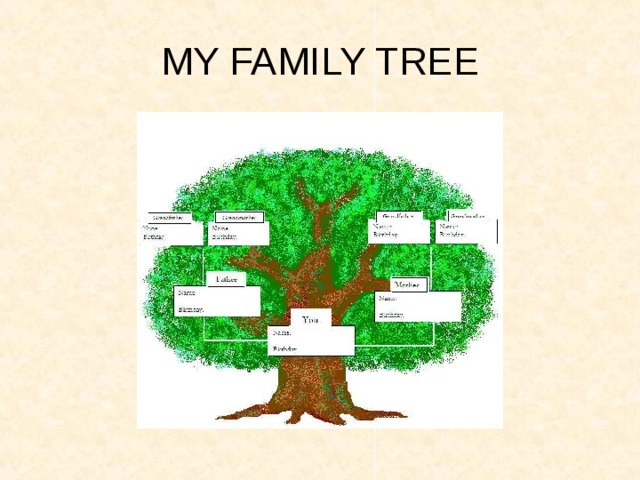 MY FAMILY TREE