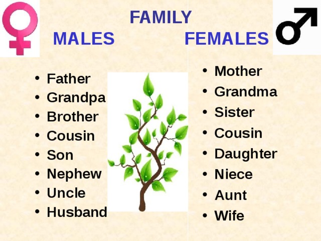 FAMILY  MALES FEMALES