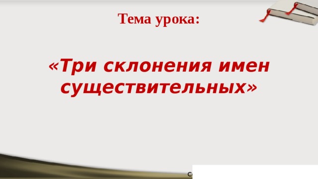 Тема урока: «Три склонения имен существительных»