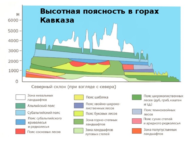 Высотная поясность в горах Кавказа